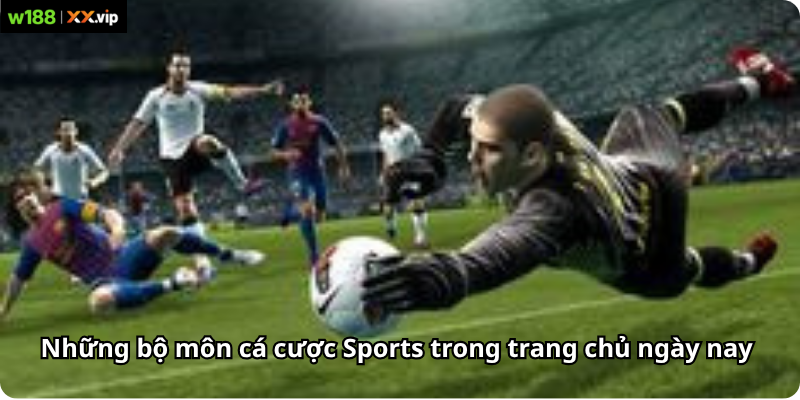 Những bộ môn cá cược Sports trong trang chủ ngày nay