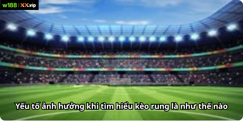 Yếu tố ảnh hưởng khi tìm hiểu kèo rung là như thế nào