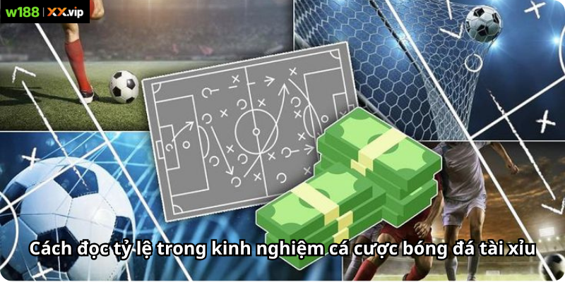 Cách đọc tỷ lệ trong kinh nghiệm cá cược bóng đá tài xỉu