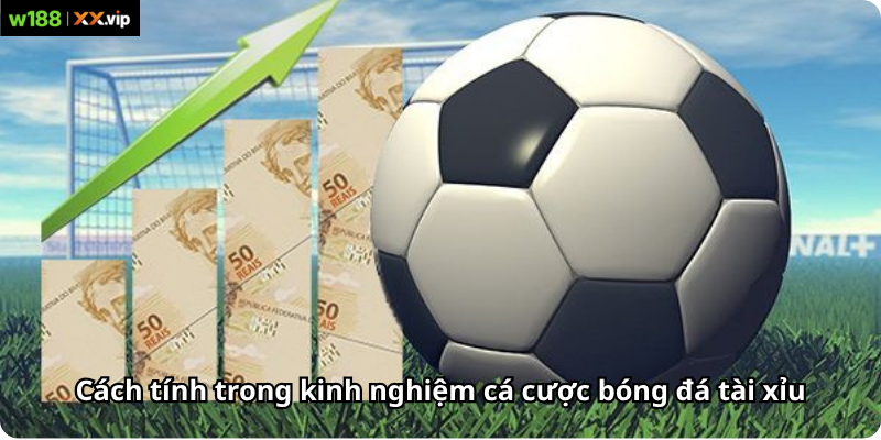 Cách tính trong kinh nghiệm cá cược bóng đá tài xỉu