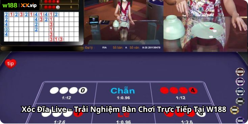 Xóc Đĩa Live – Trải Nghiệm Bàn Chơi Trực Tiếp Tại W188